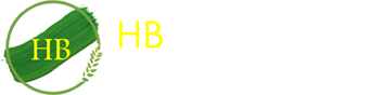 HB Associate Logo